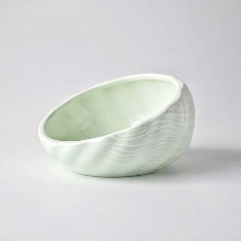Pet Supplies Elevated Cat and Dog Bowls with Slant Design