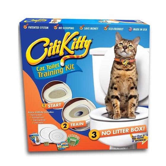 City Lady Kitty