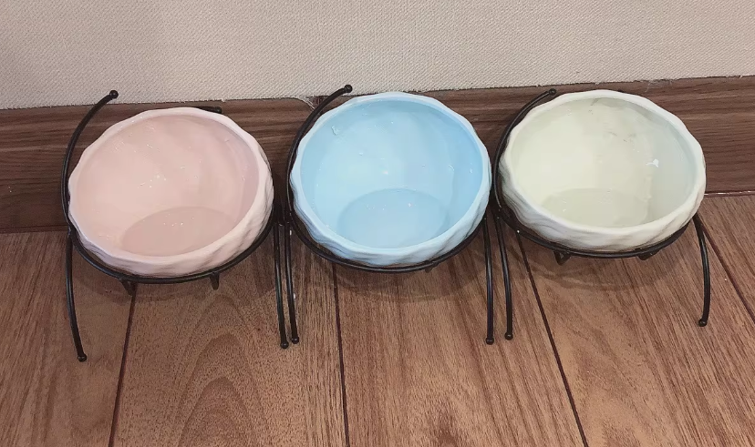 Pet Supplies Elevated Cat and Dog Bowls with Slant Design