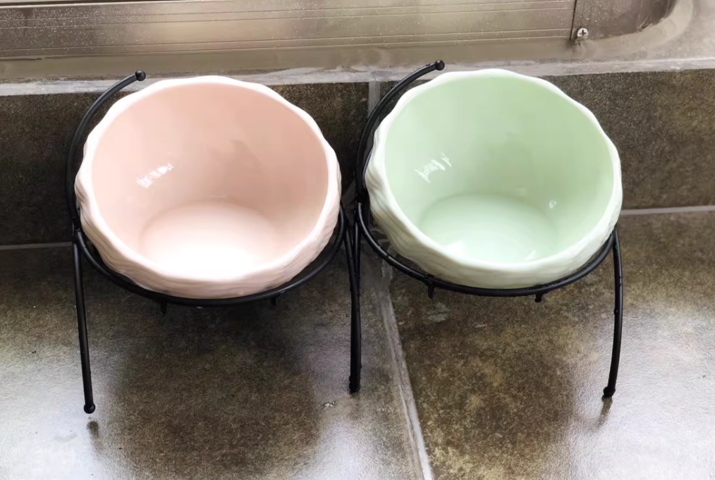 Pet Supplies Elevated Cat and Dog Bowls with Slant Design